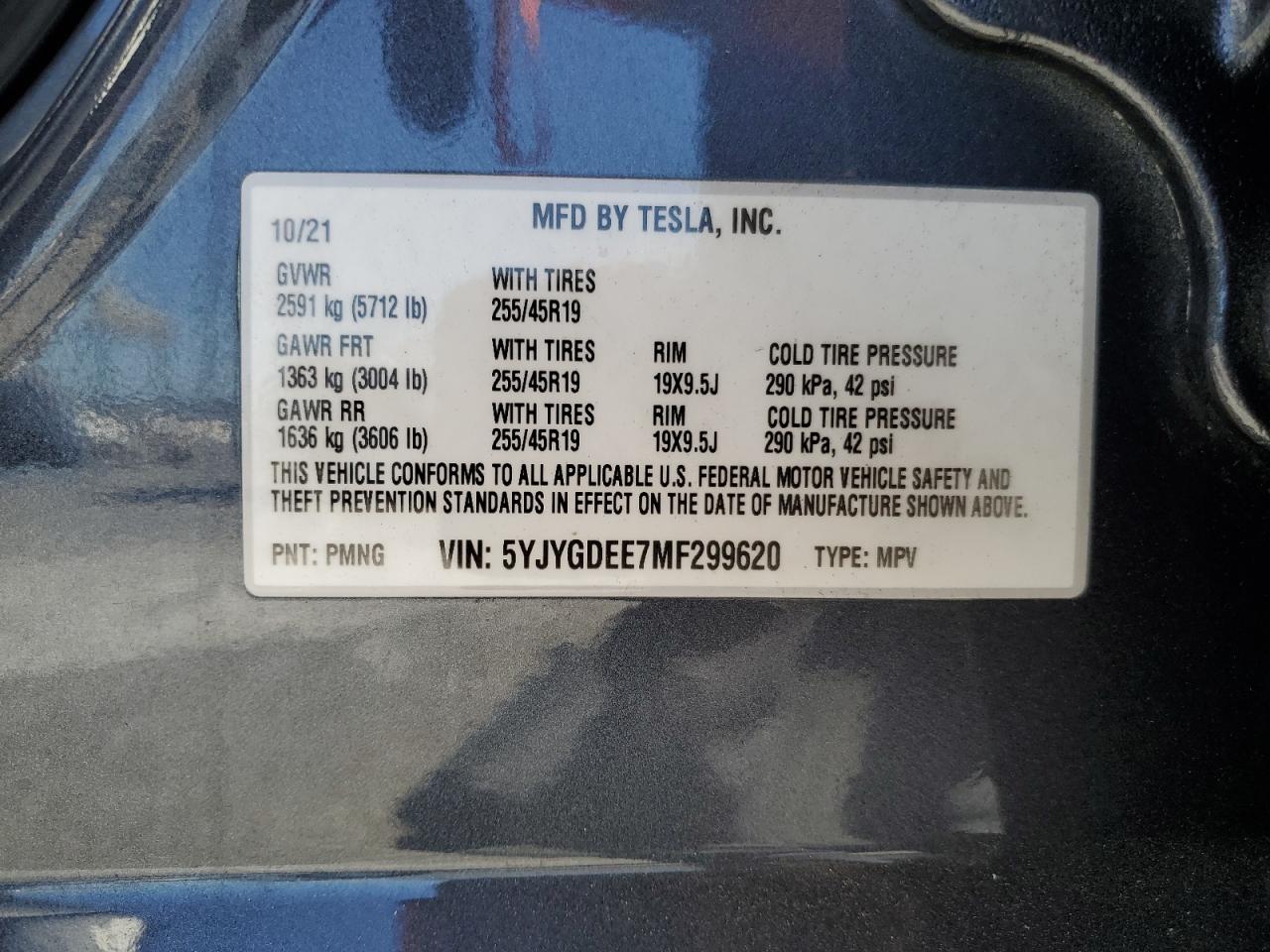 Lot #2991736979 2021 TESLA MODEL Y