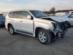 LEXUS GX 460 photo