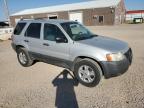 FORD ESCAPE XLT photo