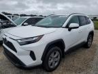 TOYOTA RAV4 XLE photo