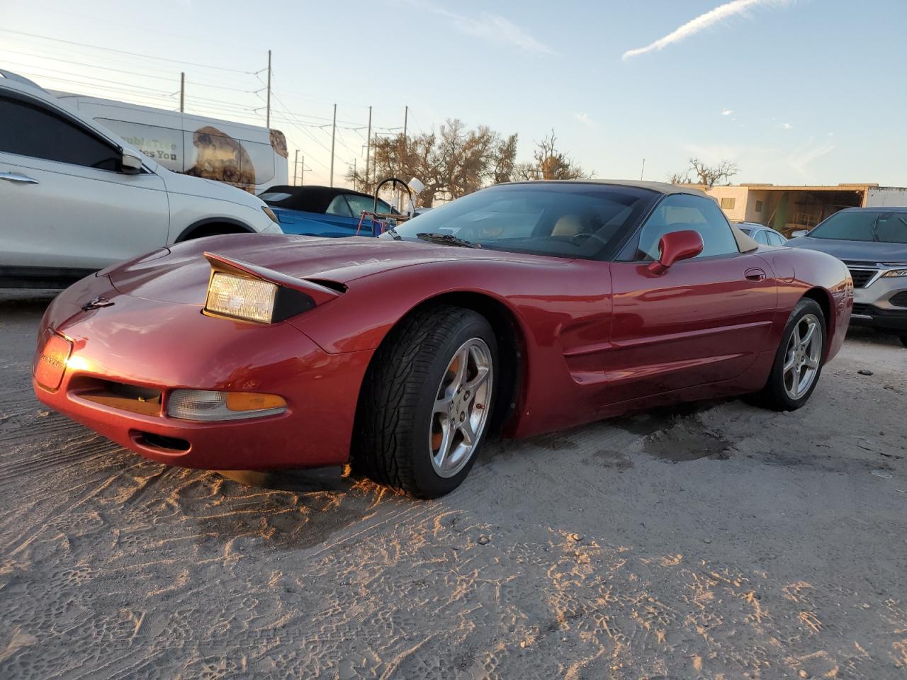 Lot #2976996705 1999 CHEVROLET CORVETTE