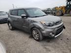 KIA SOUL + photo