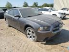 Lot #3024742279 2014 DODGE CHARGER SE