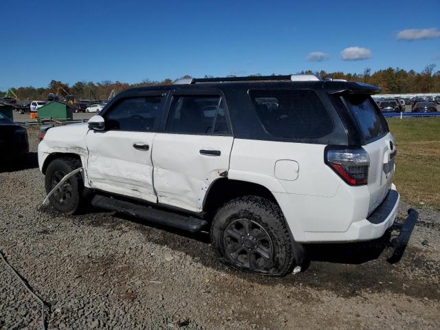 2017 TOYOTA 4RUNNER SR - JTEBU5JR0H5420200