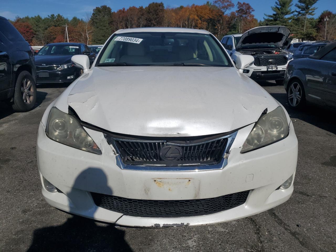 Lot #2938012861 2009 LEXUS IS 250