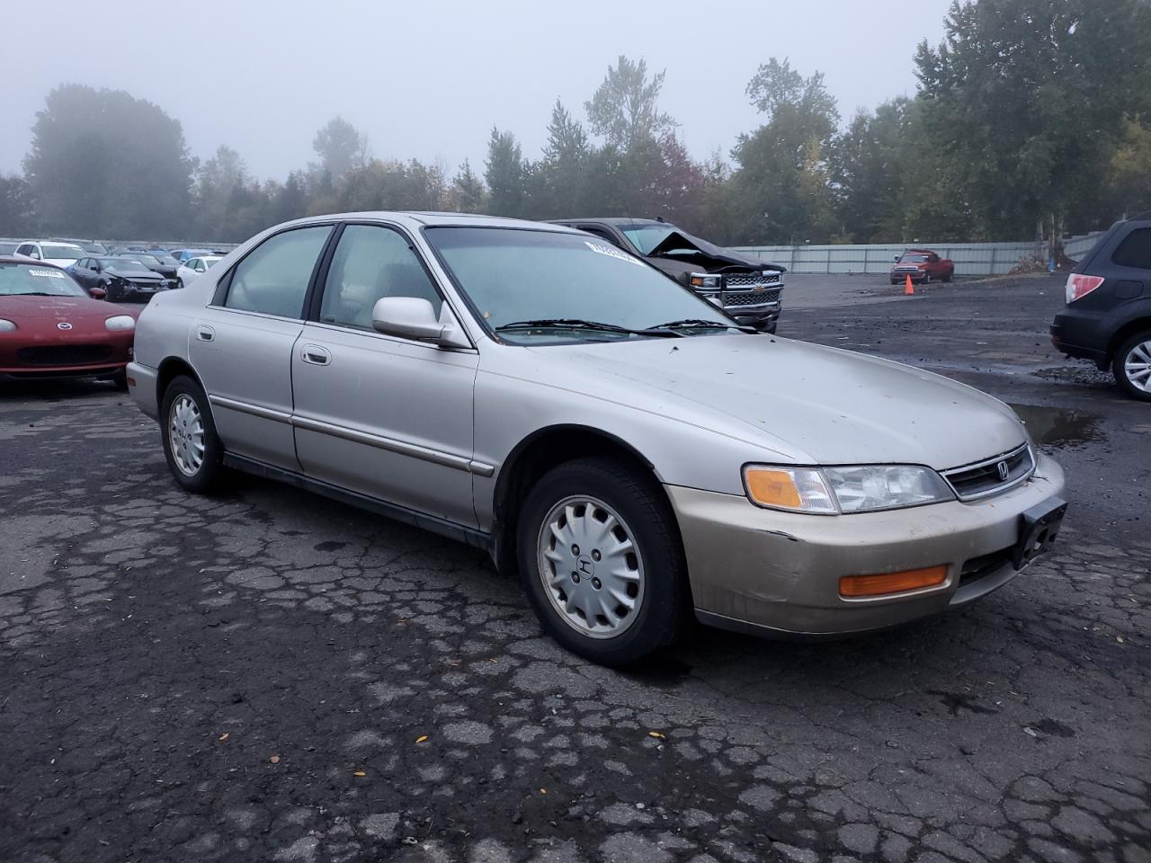 Lot #2989333572 1996 HONDA ACCORD EX