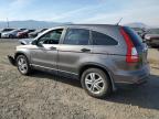 Lot #2993568176 2010 HONDA CR-V EX