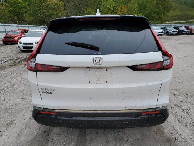 2024 HONDA CR-V EXL - 5J6RS4H77RL004188