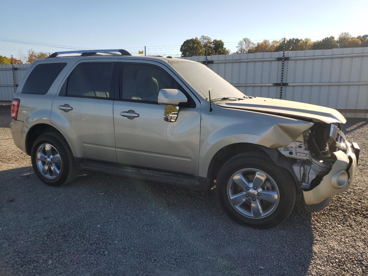 Lot #3025855368 2011 FORD ESCAPE LIM