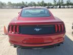 FORD MUSTANG photo