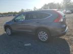 HONDA CR-V EX photo