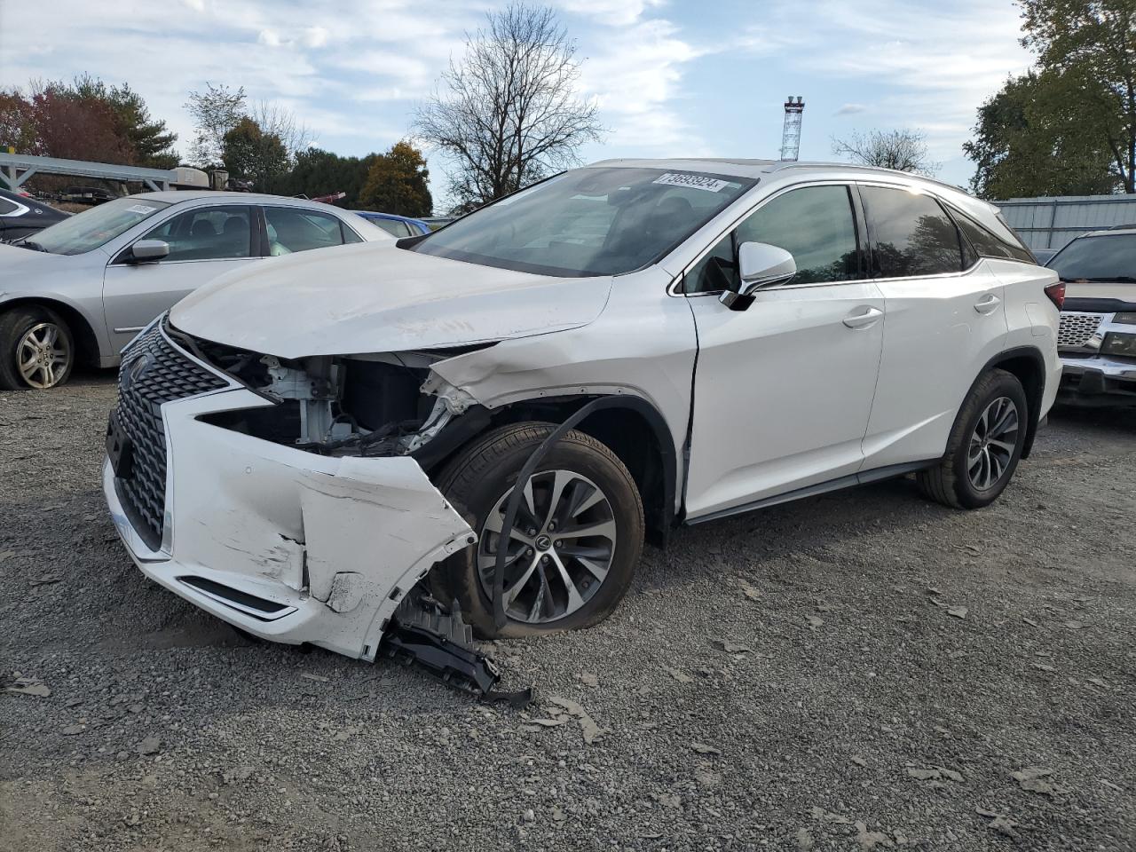 Lot #2972383527 2020 LEXUS RX 350