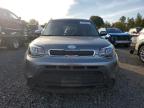 KIA SOUL photo