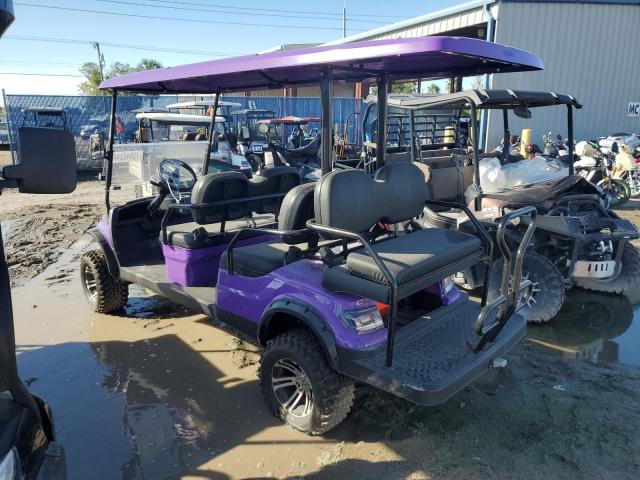 ASPT GOLF CART 2021 purple   FLA116231 photo #4