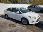 Lot #3024820371 2014 FORD FOCUS SE