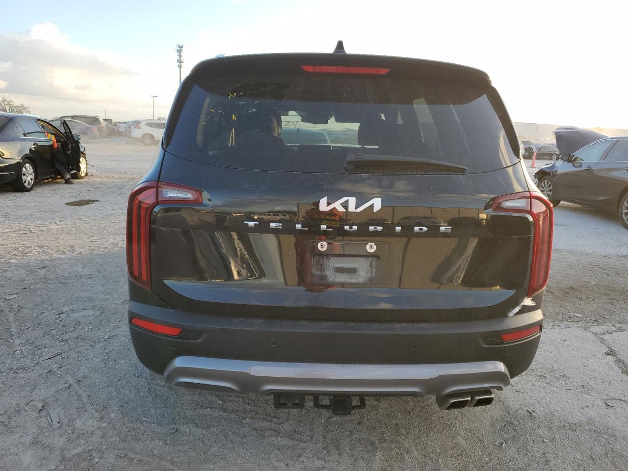 Lot #2989257842 2022 KIA TELLURIDE