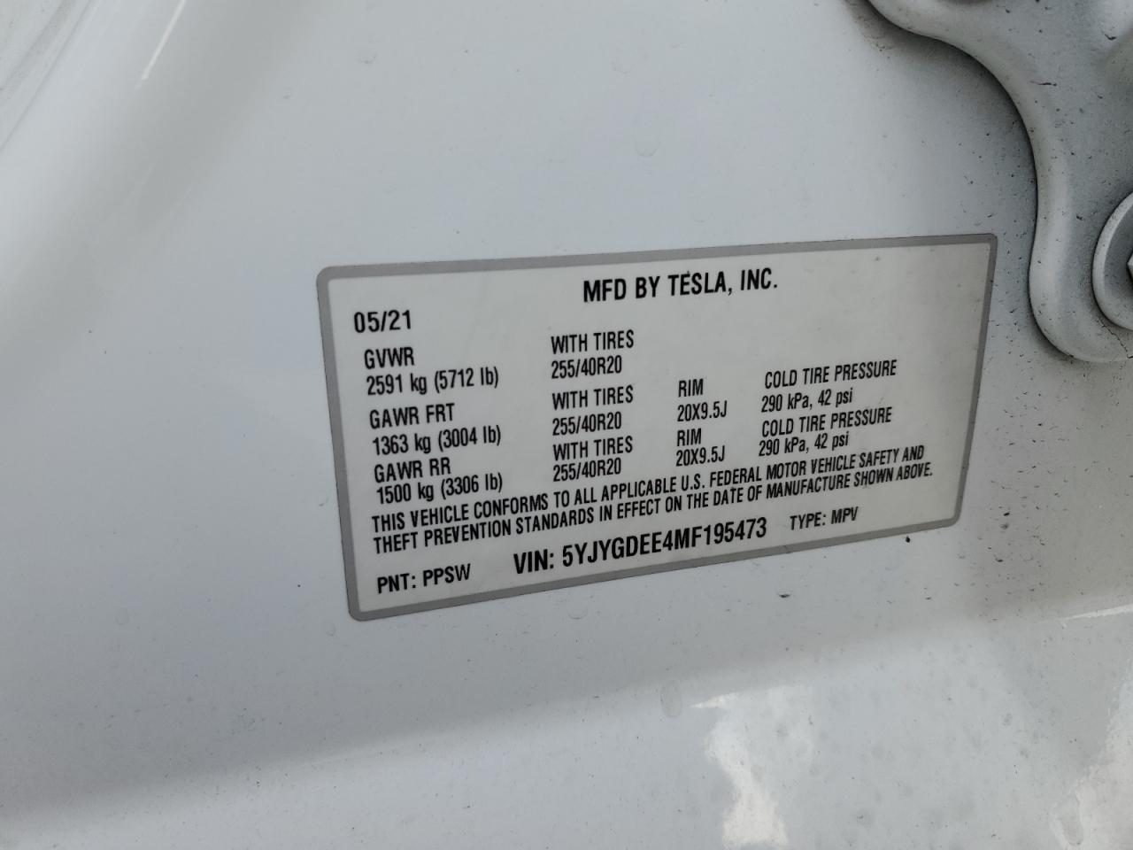 Lot #2962593806 2021 TESLA MODEL Y