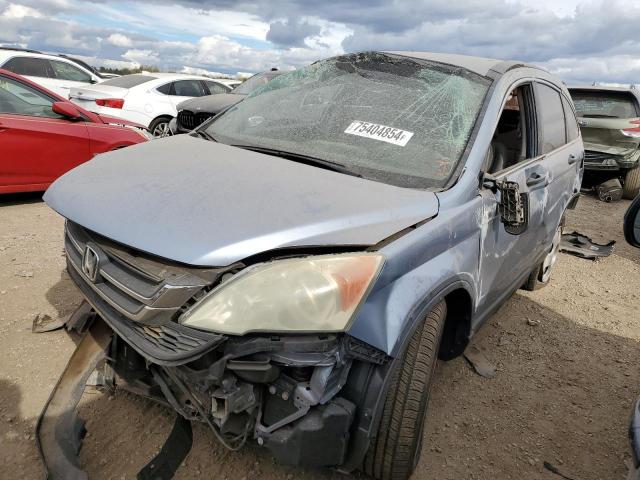 Vin: 5j6re4h32al057163, lot: 75404854, honda crv lx 2010 img_1