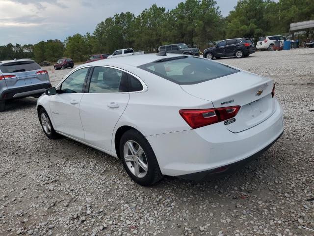 2019 CHEVROLET MALIBU LS - 1G1ZB5ST1KF228460