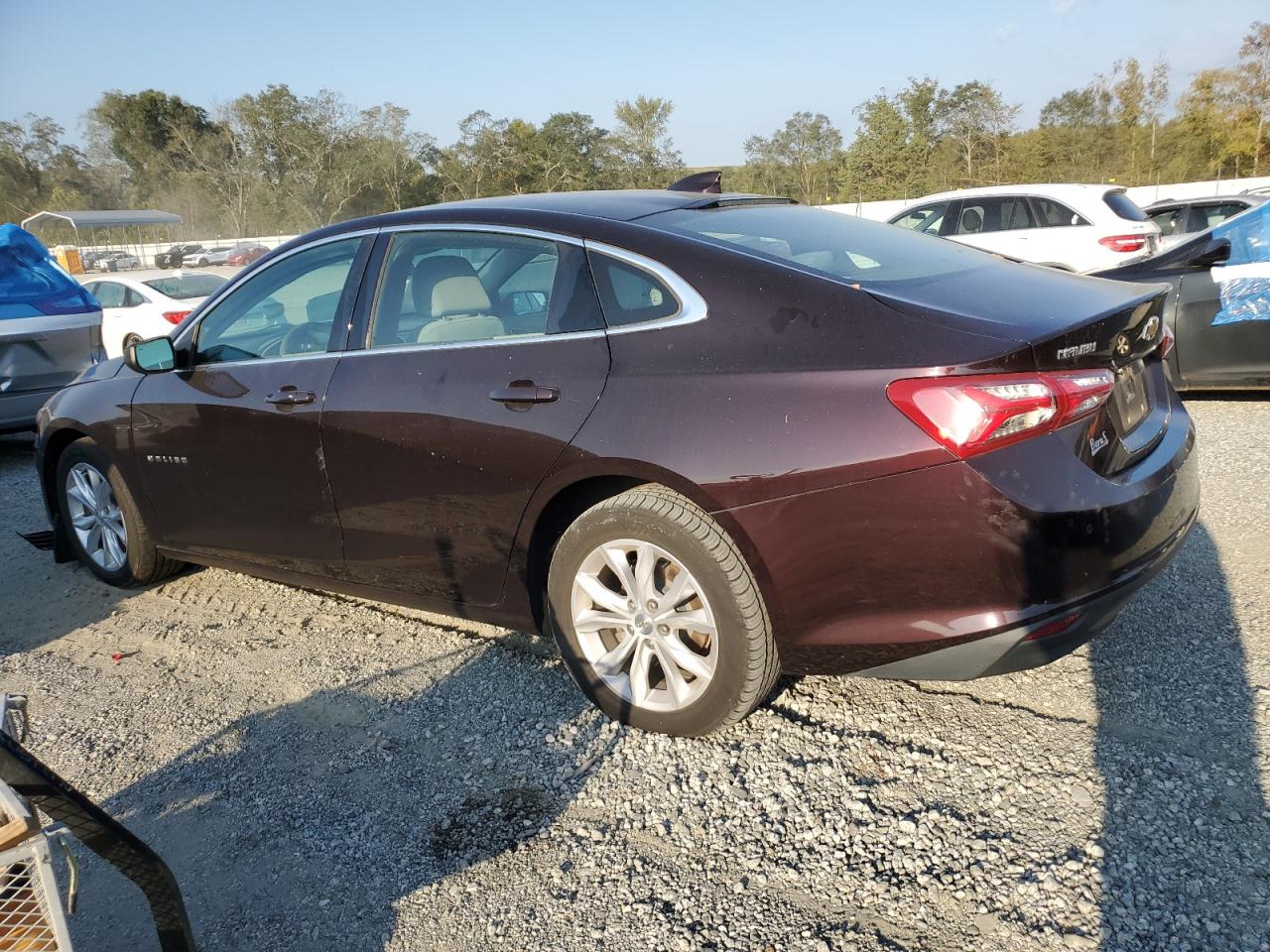 Lot #2904896122 2020 CHEVROLET MALIBU LT