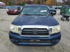 TOYOTA TACOMA ACC photo