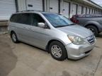 HONDA ODYSSEY EX photo