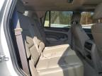 Lot #3022886235 2019 CHEVROLET TAHOE K150