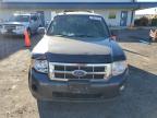 FORD ESCAPE XLT photo