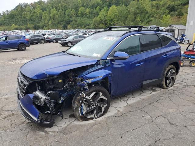 Vin: 5nmjecde6rh316948, lot: 73847834, hyundai tucson limited 2024 img_1