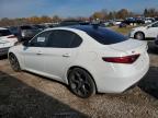 Lot #3036942813 2019 ALFA ROMEO GIULIA