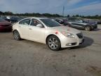 Lot #2993623194 2013 BUICK REGAL PREM