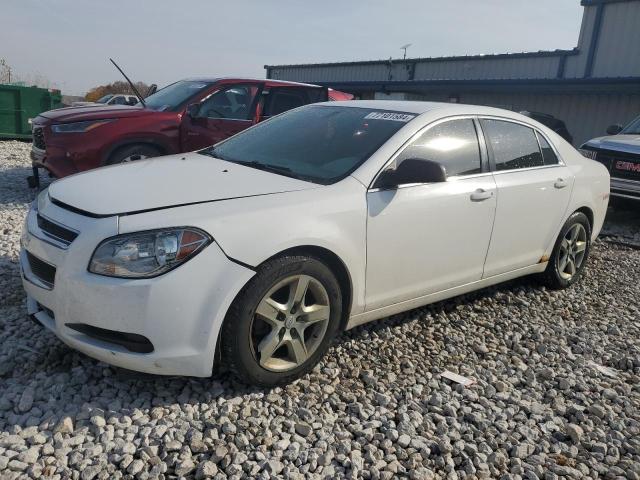 CHEVROLET MALIBU LS 2012 white sedan 4d gas 1G1ZA5E07CF347054 photo #1