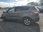 Lot #2907384065 2016 FORD ESCAPE SE