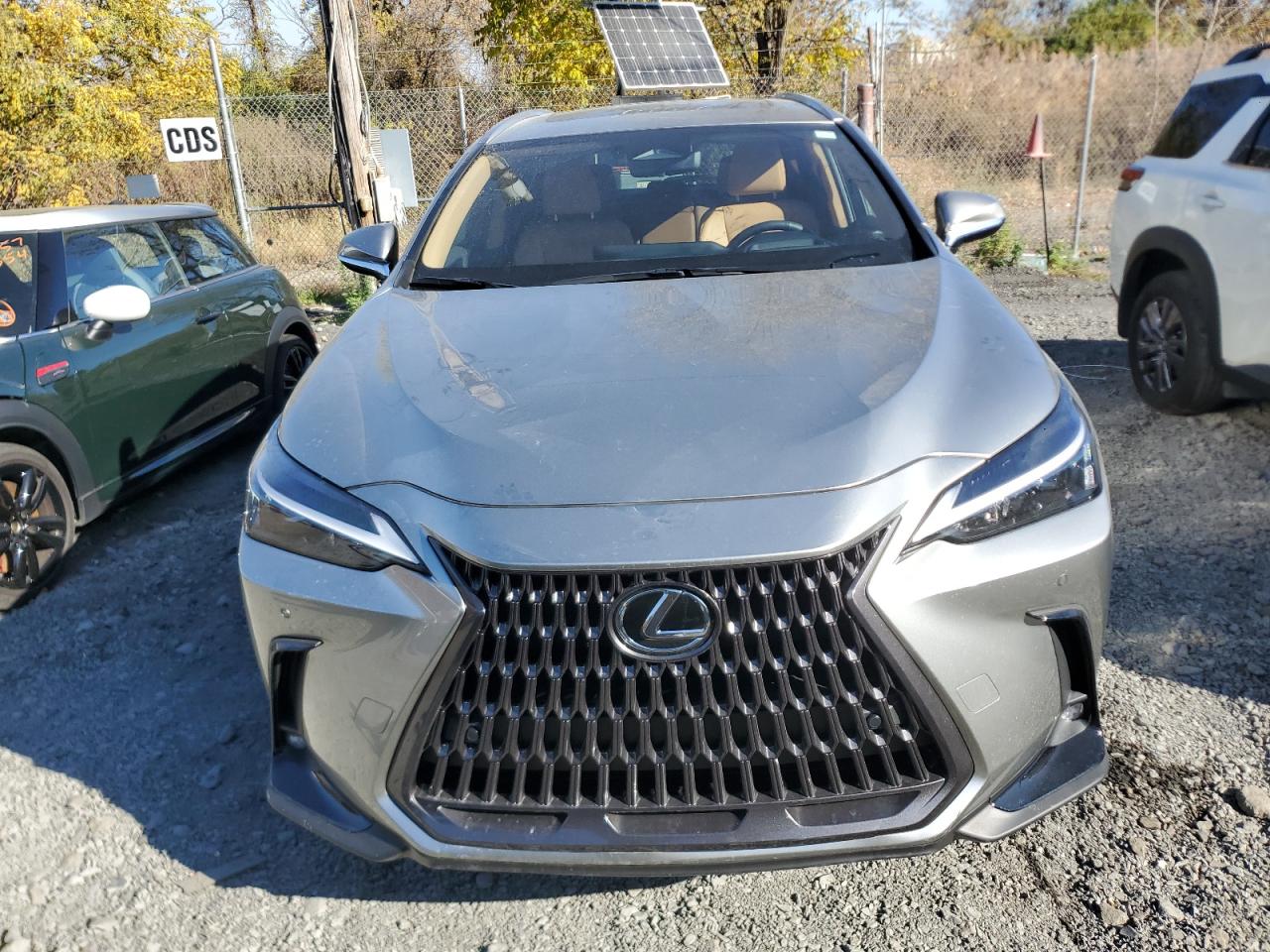 Lot #2974494481 2025 LEXUS NX 350H BA