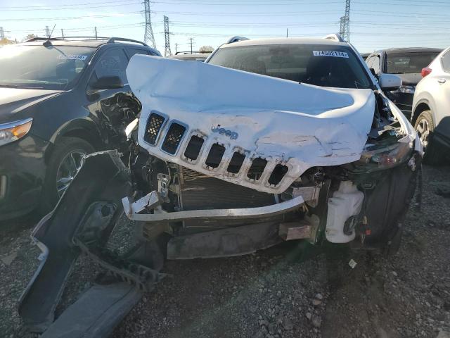 2021 JEEP CHEROKEE L - 1C4PJLCB3MD125874