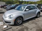 VOLKSWAGEN BEETLE photo