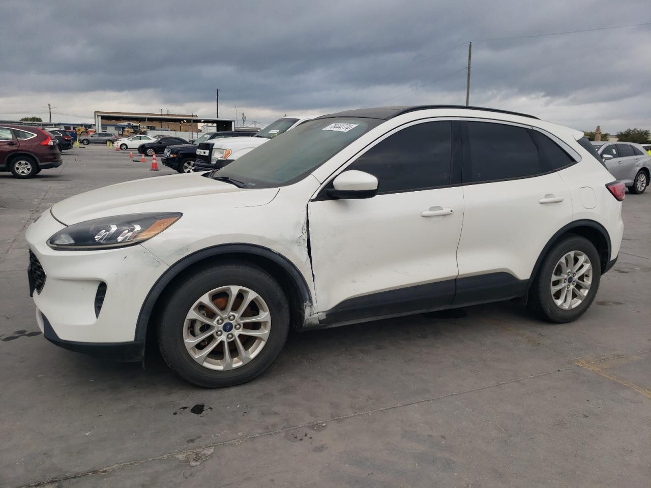 Lot #2976921622 2020 FORD ESCAPE SE