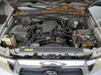 TOYOTA TACOMA ACC photo