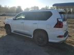 Lot #2942626084 2020 LEXUS GX 460 PRE