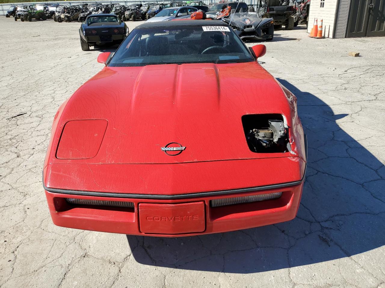 Lot #2955507496 1989 CHEVROLET CORVETTE