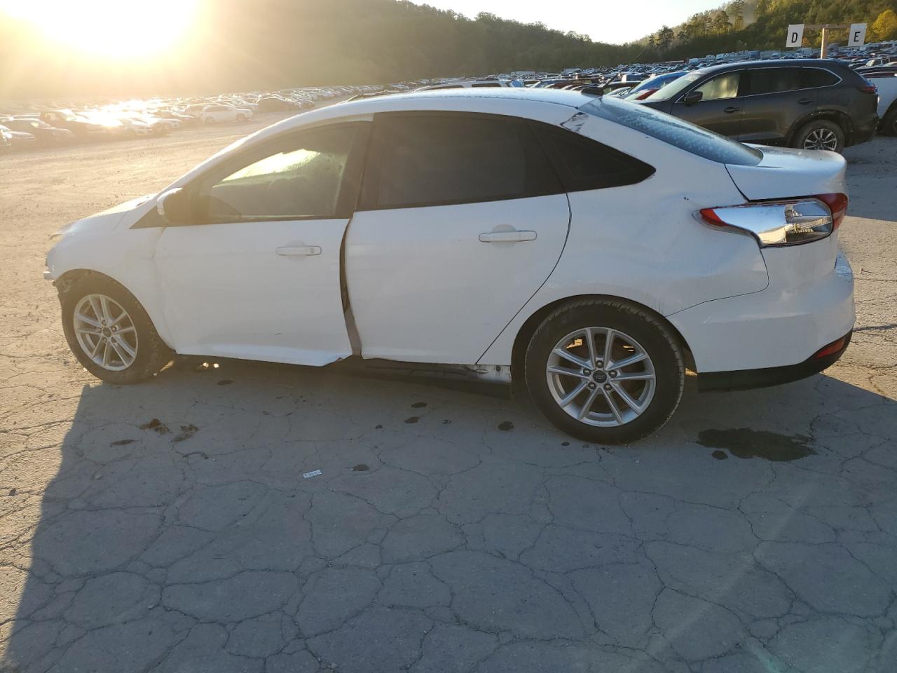 Lot #3009164238 2017 FORD FOCUS SE