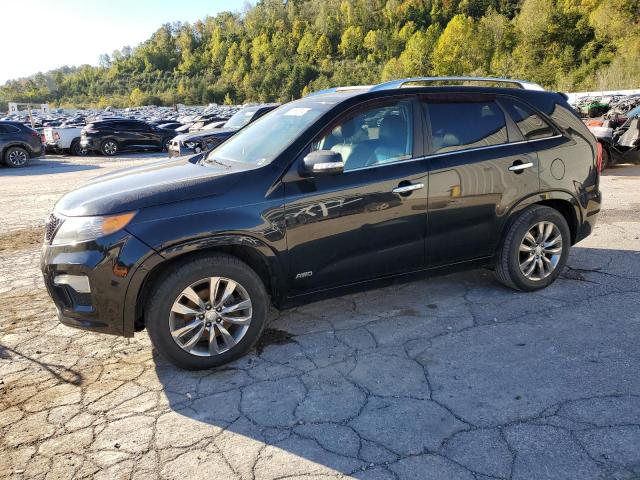 Vin: 5xykwda24dg385142, lot: 75187514, kia sorento sx 2013 img_1
