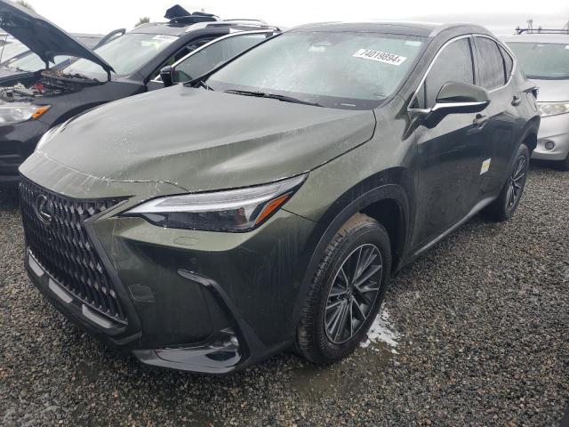 2024 LEXUS NX 350H BA