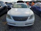 LEXUS LS 460 photo