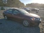 HONDA ACCORD EXL photo