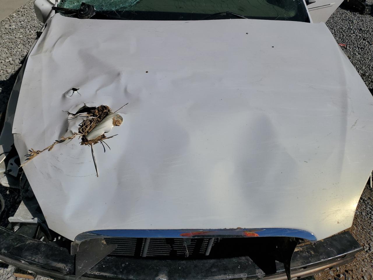 Lot #3302759444 2006 BUICK LUCERNE CX