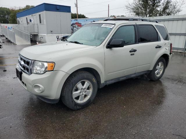 Global Auto Auctions: 2009 FORD ESCAPE XLT