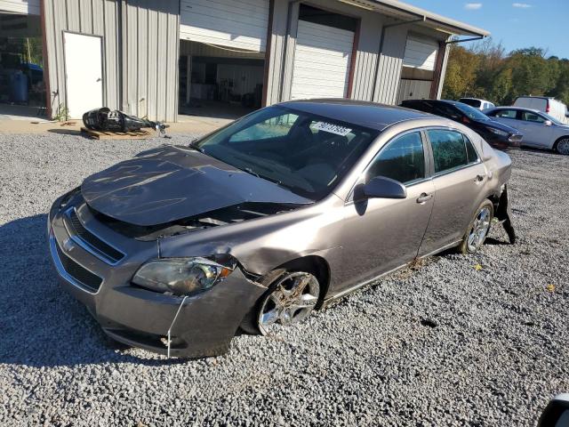 Global Auto Auctions: 2010 CHEVROLET MALIBU 1LT