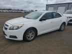 Lot #3315889112 2013 CHEVROLET MALIBU LS