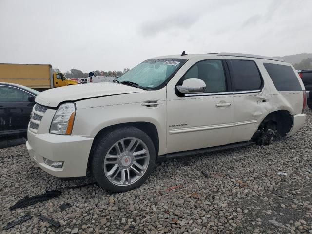 Global Auto Auctions: 2013 CADILLAC ESCALADE P